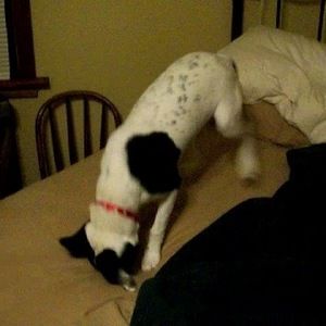 Meet your Posher, Kathleen